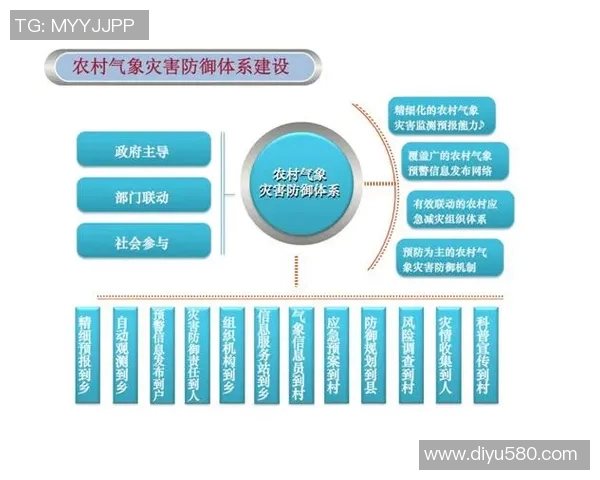南京排球队防守体系解析与战术创新探讨